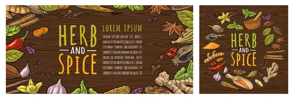 Circle shape set with HERB and SPICE. Set vector color engraving Stock Illustration