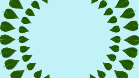 Circle shaped lilac leaves pattern, dynamic and bright. Copy space in center. 스톡 일러스트