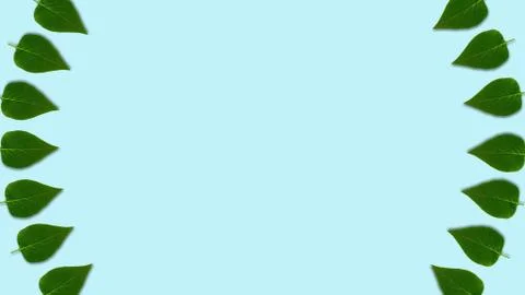 Circle shaped lilac leaves pattern, dynamic and bright. Copy space in center. Stock Photos