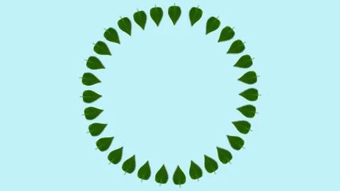 Circle shaped lilac leaves pattern, dynamic and bright. Copy space in center. Stock Photos