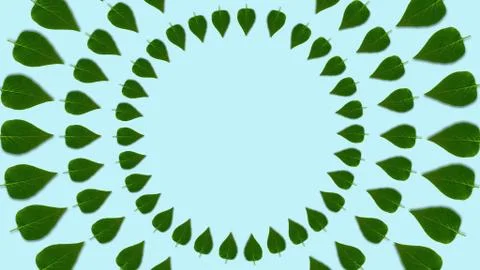 Circle shaped lilac leaves pattern, dynamic and bright. Copy space in center. 库存照片