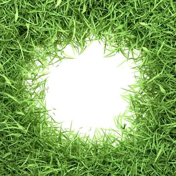 Circle-shaped white space edged with a thick, natural green grass border Stock Illustration