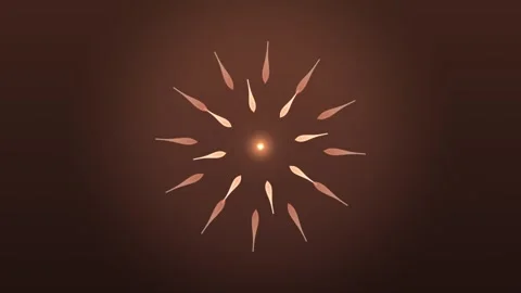 Circle of shapes moving outwards in rays from the center Stock Footage 338224706