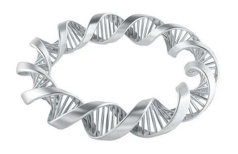 Circle from silver DNA spiral, 3D rendering Stock Illustration
