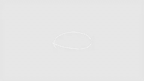 Circle Sketch Style Alpha Animation Stock Footage 242511975