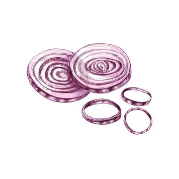 Circle slice onion. Vector vintage hatching color illustration. Isolated Stock-Illustration