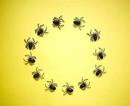 Circle of spiders on a yellow background Stock Photos