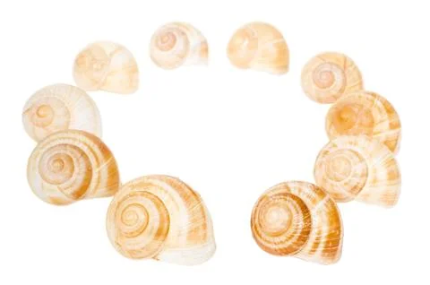 Circle of spiral shells isolated Stock Photos