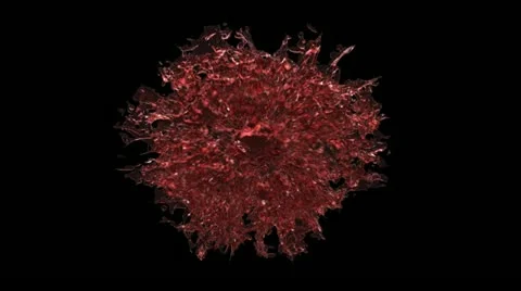 Circle splash with alpha channel Stock Footage 22009302