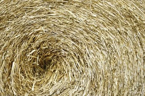 Circle thatch texture and wallpaper Stock Photos