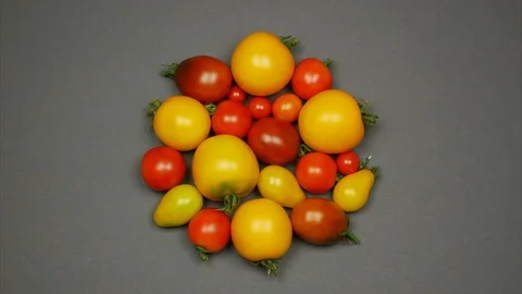 Circle of tomatoes. Stop motion animation Stock Footage 113223666
