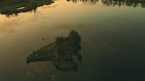 Circle Tracking Drone Flight Over A Marsh Focusing On A Small Island Of Trees Stock Footage 255310794