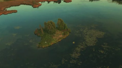 Circle Tracking Drone Shot Over A Marsh Focusing On A Small Island Of Trees Stock-Footage 255310790