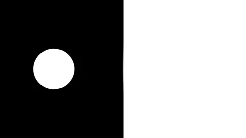 Circle Transitioning Between Two Contrasting Halves Stock Footage 291054083