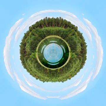 Circle tree with blue sky Stock Photos