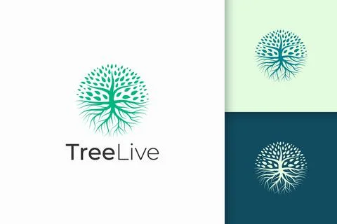 Circle tree logo with root in green color and modern shape Stock Illustration