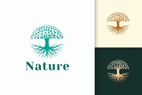 Circle tree logo with root in green color and modern shape Stock Illustration