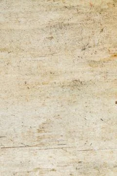 Circle tree texture Stock Photos