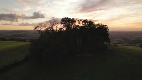 Circle of Trees and Sunset Stock Footage 171868376