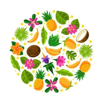 Circle with tropical fruit pattern. Vector illustration on a white background. Stock Illustration