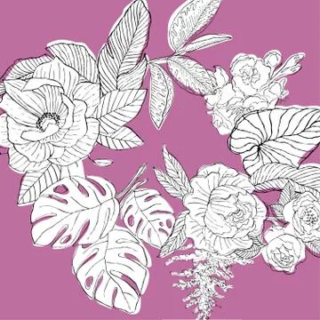 Circle of tropical plants Stock Illustration