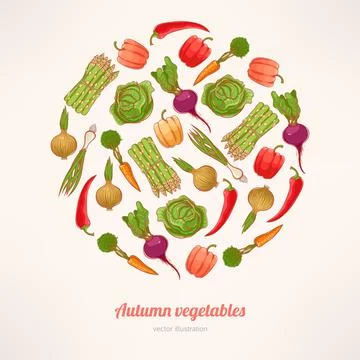 Circle of vegetables Stock Illustration