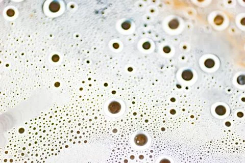 Circle wet macro from under the plastic material. Stock Photos