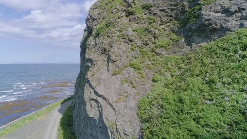 Circled around the rock Stock Footage 80081165