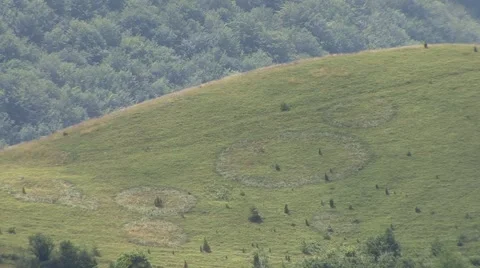 Circles in the grass on the mountain Vídeo Stock 41127991