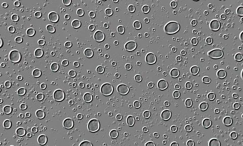 Circles image white background Stock Illustration