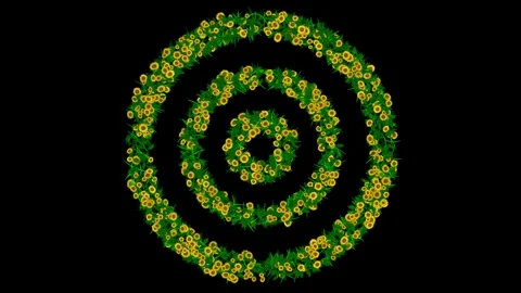 Circles pattern motion graphics with yellow daisy flowers and green leaves Stock Footage 271510783