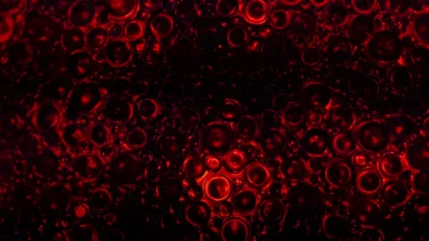Circles pattern in red and black tones. Circles motion wallpaper. Stock Footage 296071894