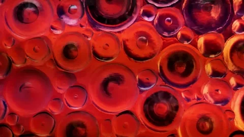 Circles pattern.Flickering multicolored light in circles background. Stock Footage 295229459