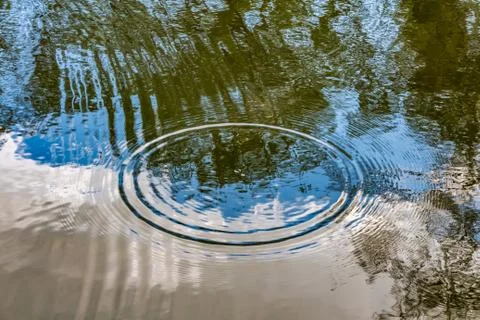 Circles from the raindrops break up on the surface of the pond Foto stock