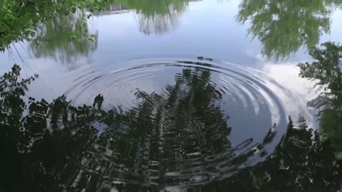 Circles of ripples in water Stock Footage 137863044