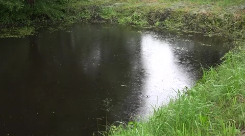 Circles on rural pond surface from rain in summertime. 4K Stock Footage 59791146