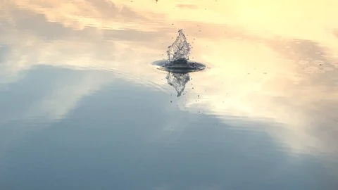 Circles on the water from an abandoned stone Stock-Footage 99554790