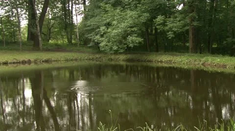 Circles on water Stock Footage 12049010