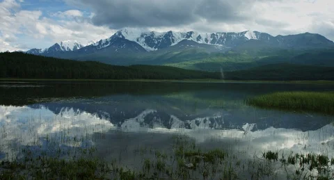 Circles on the water Stock Footage 98149326