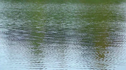 Circles on the water of a lake Stock Footage 43031680