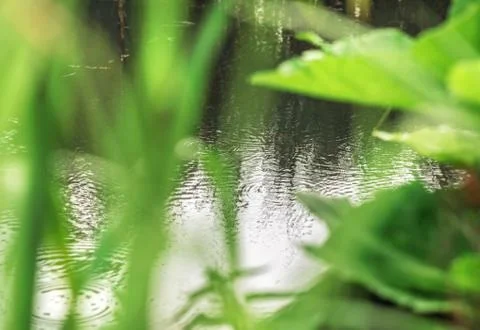 Circles on water Stock Photos