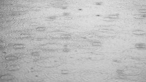Circles on water from rain 스톡 동영상 77219569