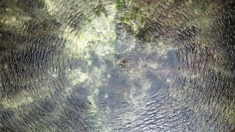 Circles on the water from the rotating propellers of the drone Stock Footage 271071546