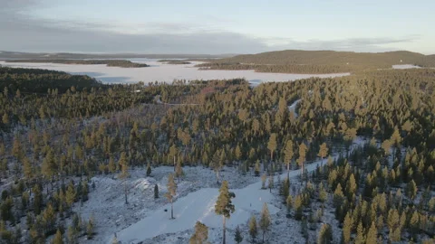Circling Drone Shot Of Car Standing In Forest At Frozen Lake During Sunny Day Stock Footage 224258963