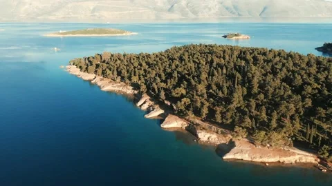 Circling protected forest, surrounded by sea water Stock Footage 137787489