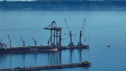 Circling shot around towering loading cranes and a cargo ship docked at a pier Stock Footage 342241995