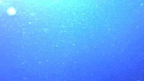 Circling underwater Stockbeeldmateriaal 77630004