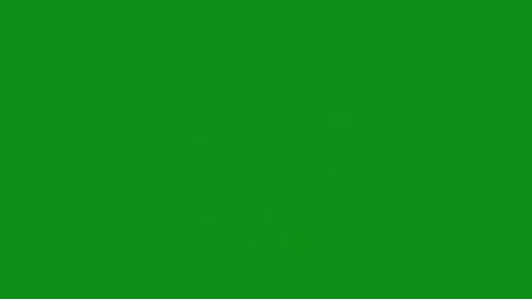 Circling White Feathers Motion Graphics on Green Screen Background Video stock 348193074