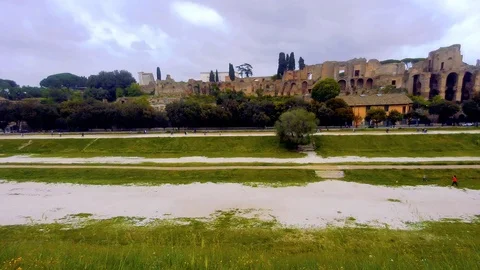 CircoMassimo Stock Footage 107236048