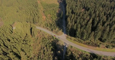 Circuit Aerial View 스톡 동영상 91899279